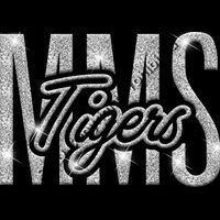 GLT95 SILVER GLITTER Thumbnail