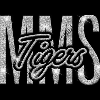 GLT95 SILVER GLITTER Thumbnail