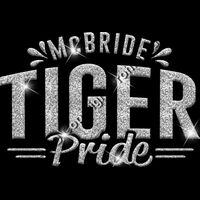 GLT62 SILVER GLITTER Thumbnail